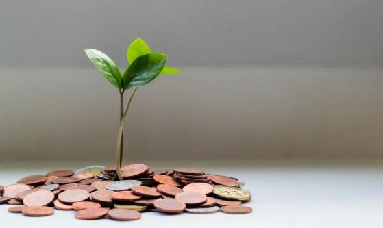 picbf7b69be9374add7e2c3ac00faac9b0c