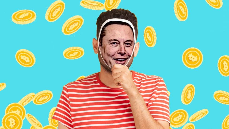 _117579526_muskmain2