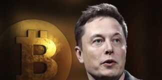 X prepara “Smart Cashtags” para integrar trading de acciones y criptomonedas dentro de la app