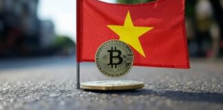 Vietnam impulsa el mercado de criptoactivos, pero enfrenta un desafío: la falta de talento especializado