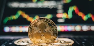 XRP muestra señales de recuperación impulsado por las ballenas, mientras los inversionistas minoristas mantienen la cautela